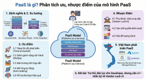 Paas là gì