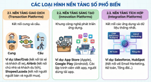 Các loại hình nền tảng số phổ biến